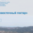 «Дальневосточный гектар» - KaviCom.Ru