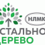 «Стальное дерево» открыло прием заявок на гранты 2022 года - Управление по физической культуре и спорту