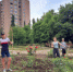 Программа временного трудоустройства несовершеннолетних - Oskoluno.Ru