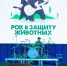 Больше тонны кормов собрали на благотворительном фестивале «Рок в защиту животных» в Старом Осколе - Oskol.City