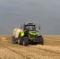 Уборочная кампания в Старооскольском городском округе. - Старооскольский городской округ