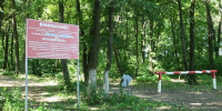 Продлены ограничения по пребыванию в лесах Белгородской области - Oskol.City