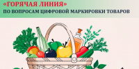 «Горячая линия» по вопросам цифровой маркировки товаров. - Старооскольский городской округ