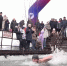«Водичка супер!»: традиционный чемпионат по зимнему плаванию прошёл в Старом Осколе - 9 Канал Старый Оскол
