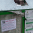 В Старом Осколе фонд «Обычное Дело» приостанавливает работу по сбору пластика - Oskol.City